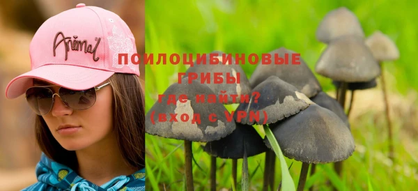 гашик Лихославль